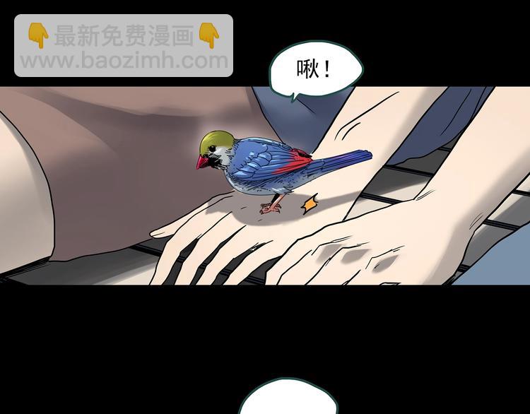 第360话 VR愿81