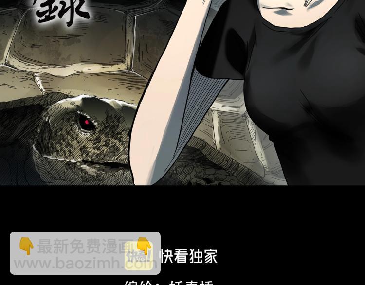 第375话 龟之怪谈（下）1