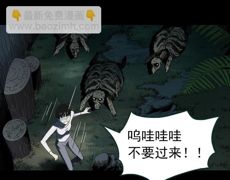 第375话 龟之怪谈（下）57