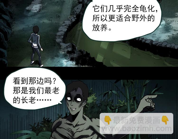 第375话 龟之怪谈（下）62