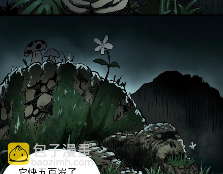 第375话 龟之怪谈（下）63