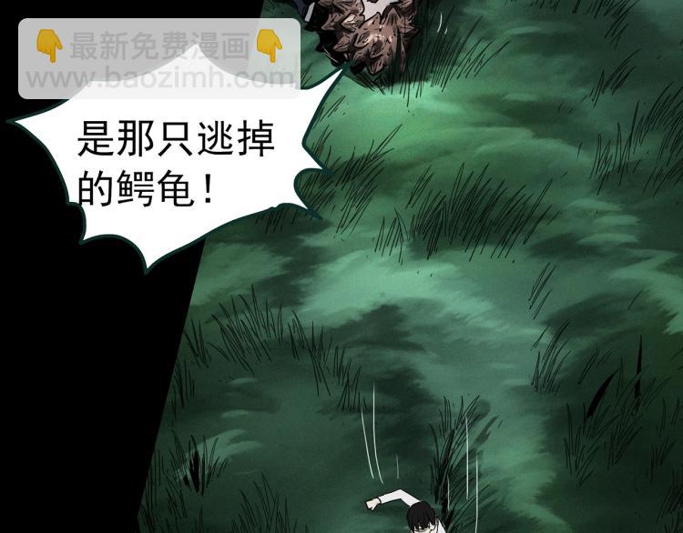 第375话 龟之怪谈（下）82