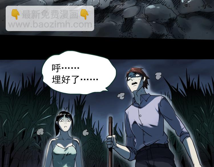 第376话 甘蔗地21