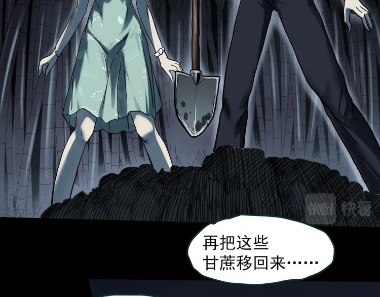 第376话 甘蔗地22