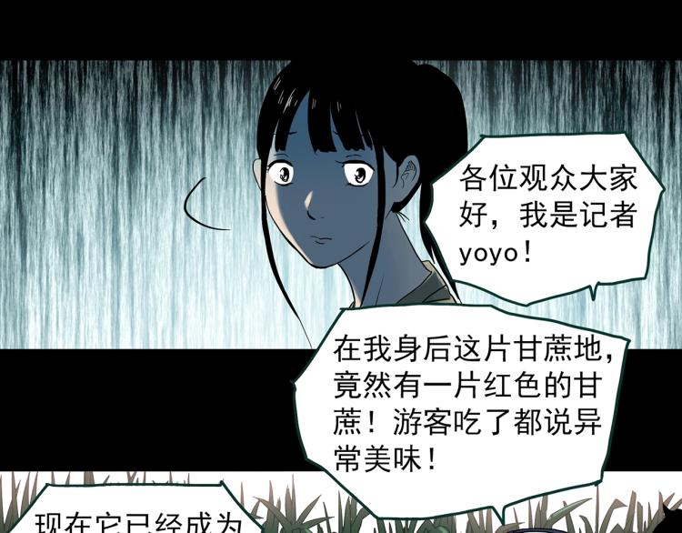 第376话 甘蔗地38