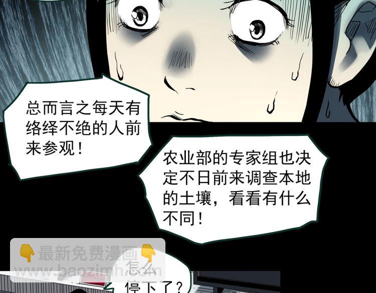 第376话 甘蔗地41