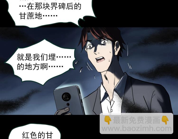 第376话 甘蔗地45