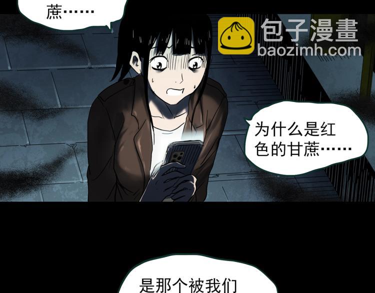 第376话 甘蔗地46