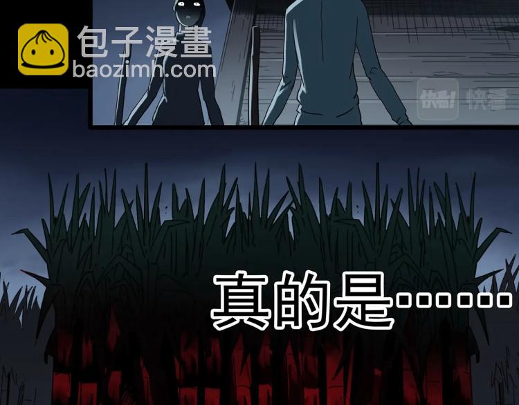 第376话 甘蔗地59