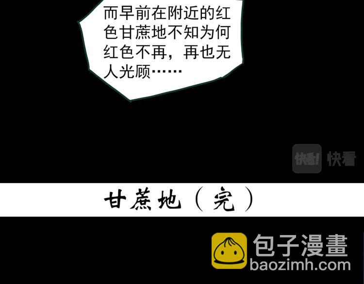 第376话 甘蔗地98
