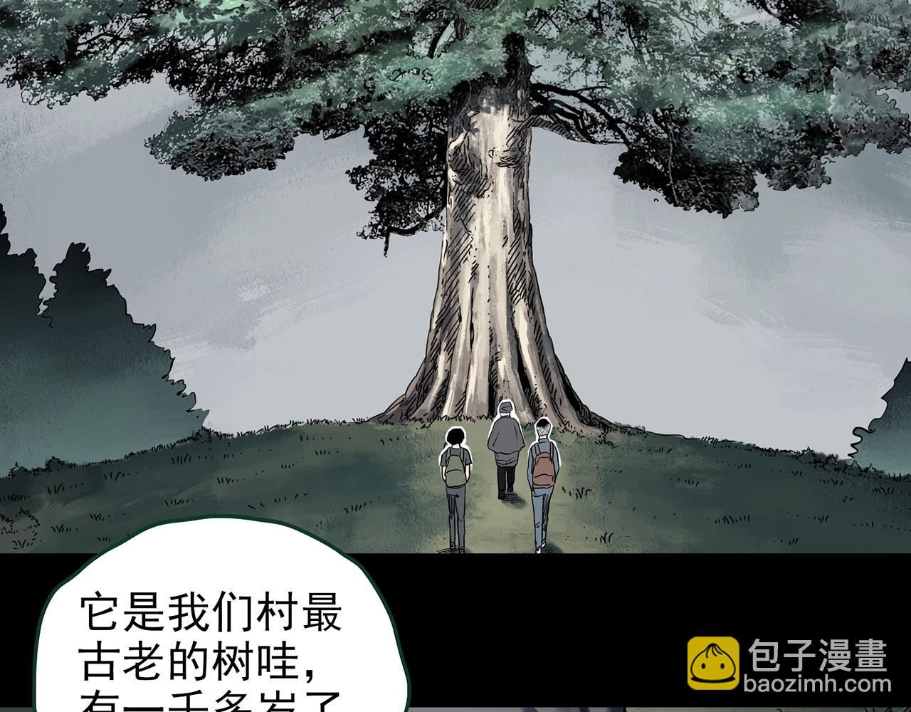 第427话 母亲树42