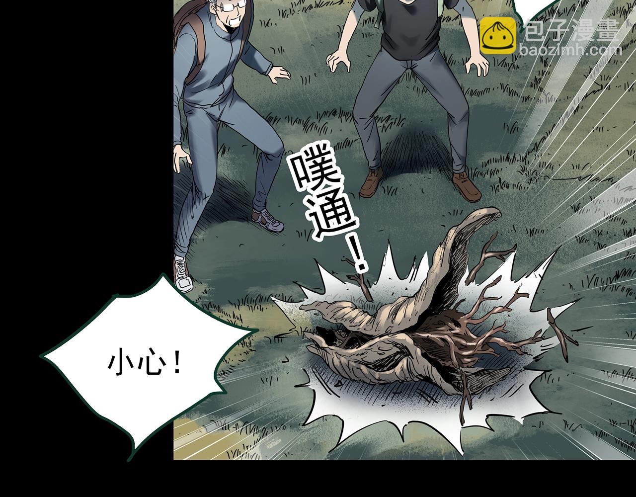 第427话 母亲树52
