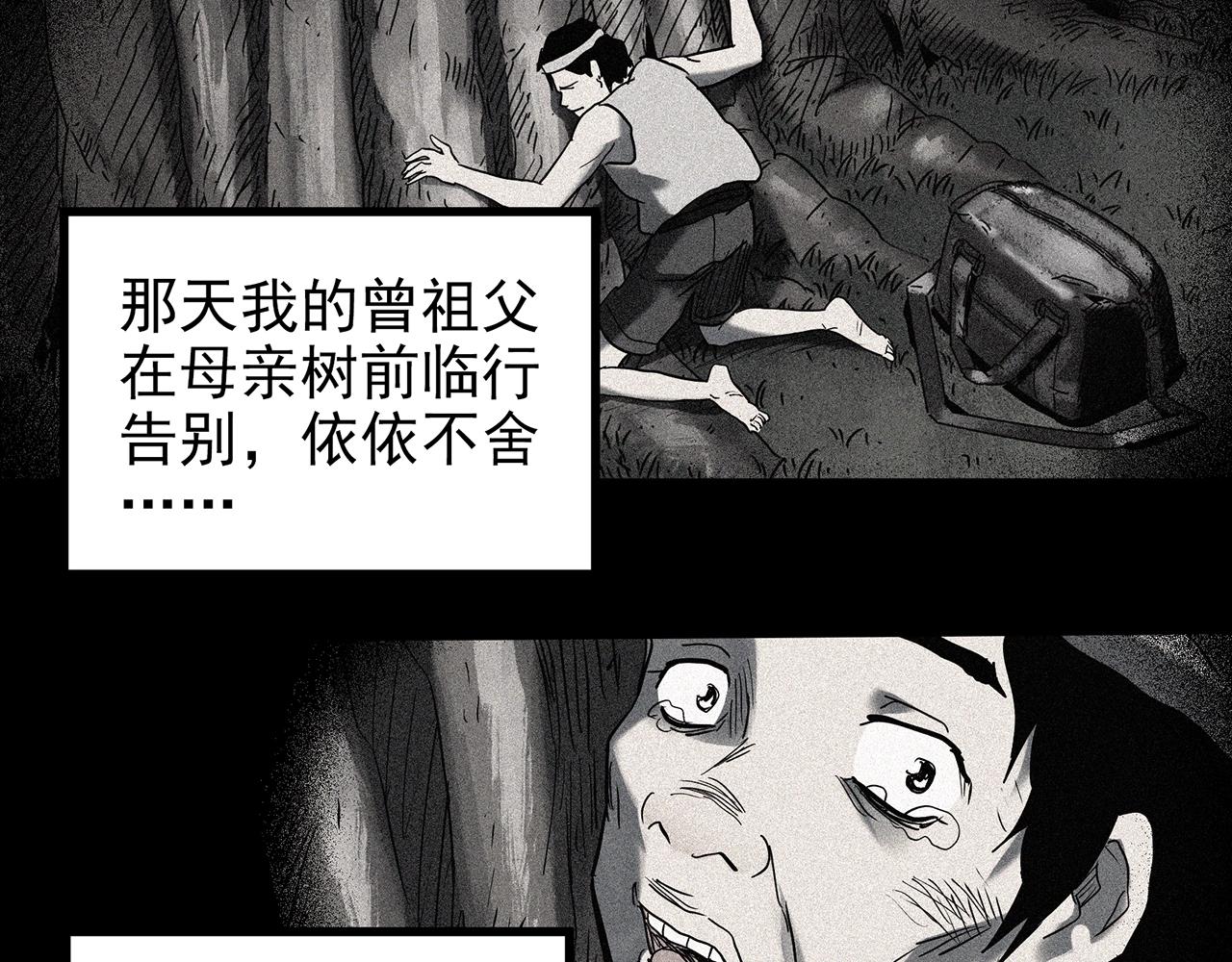 第427话 母亲树88