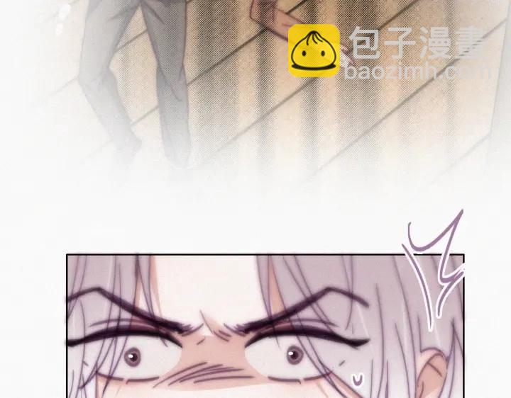 第169话 抓岳照12