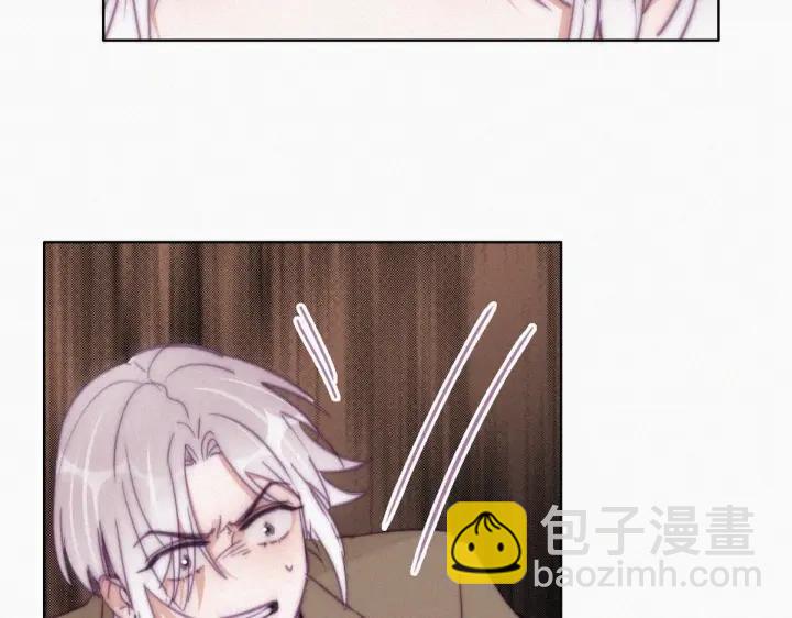 第169话 抓岳照13