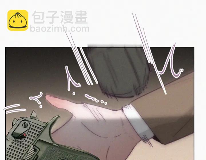 第169话 抓岳照28