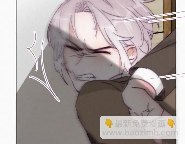 第169话 抓岳照30