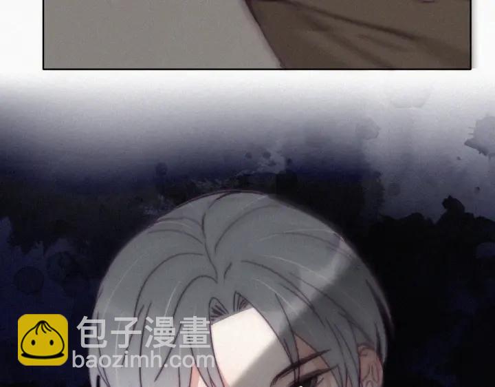 第169话 抓岳照31