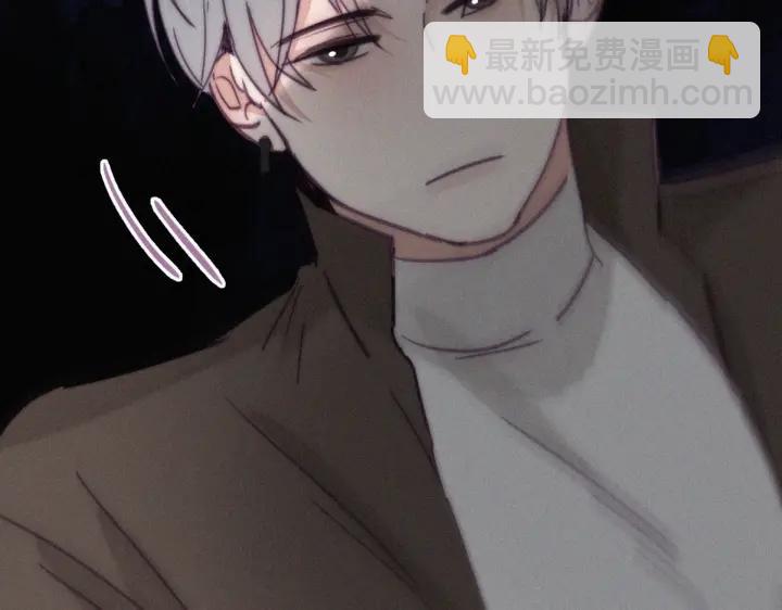 第169话 抓岳照32