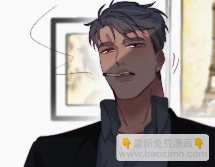 第169话 抓岳照38