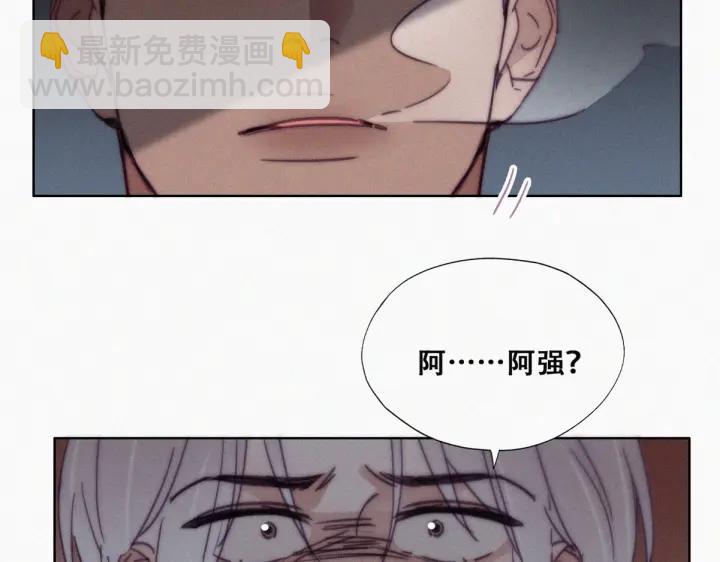 第169话 抓岳照58