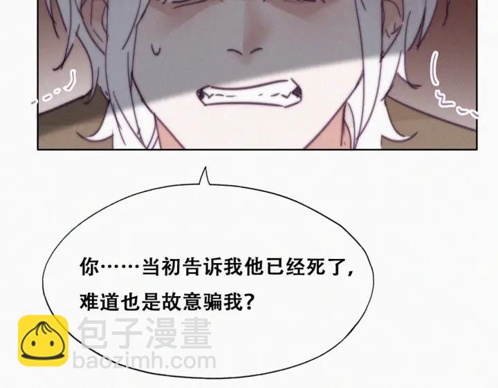 第169话 抓岳照59
