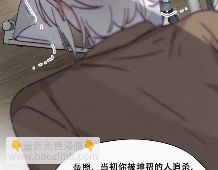 第169话 抓岳照67