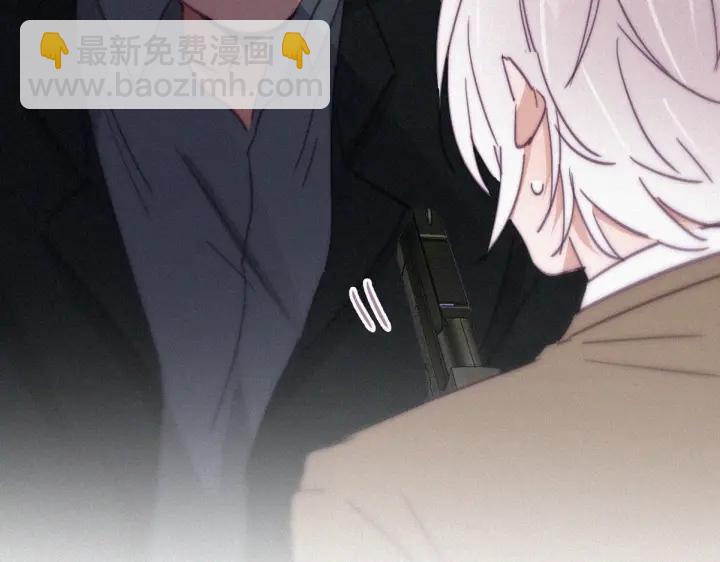 第169话 抓岳照8