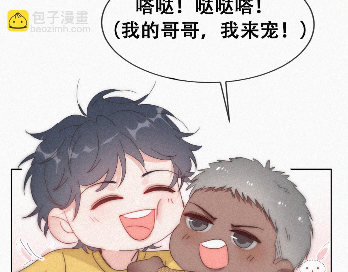 养娃小剧场【哥哥我来宠】6