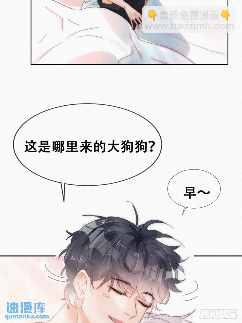 第二季 第54话 一夜之后13