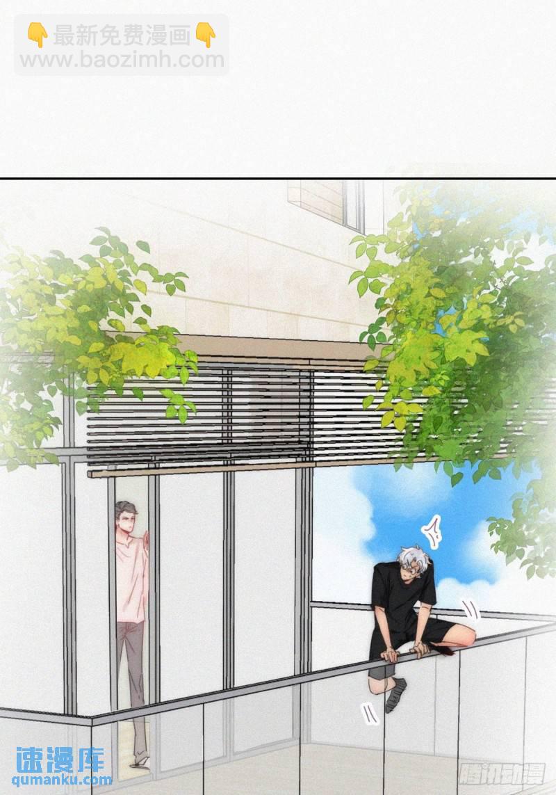 第二季 第55话 豆丁暴走9