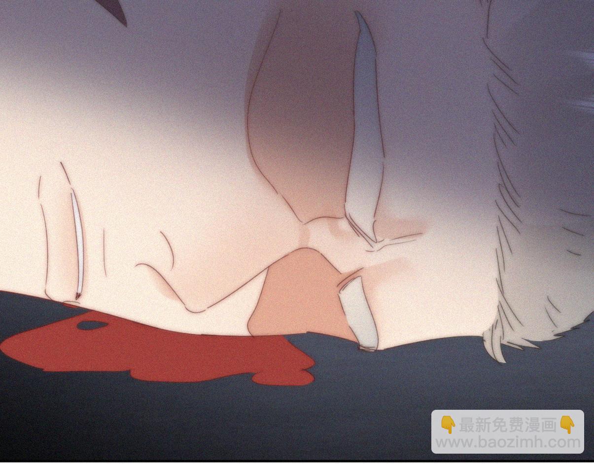 第二季第104话 谁准你伤他的！36
