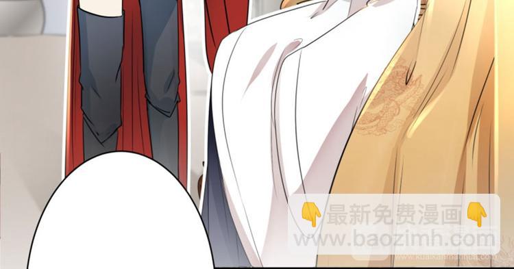 第11话 影卫77