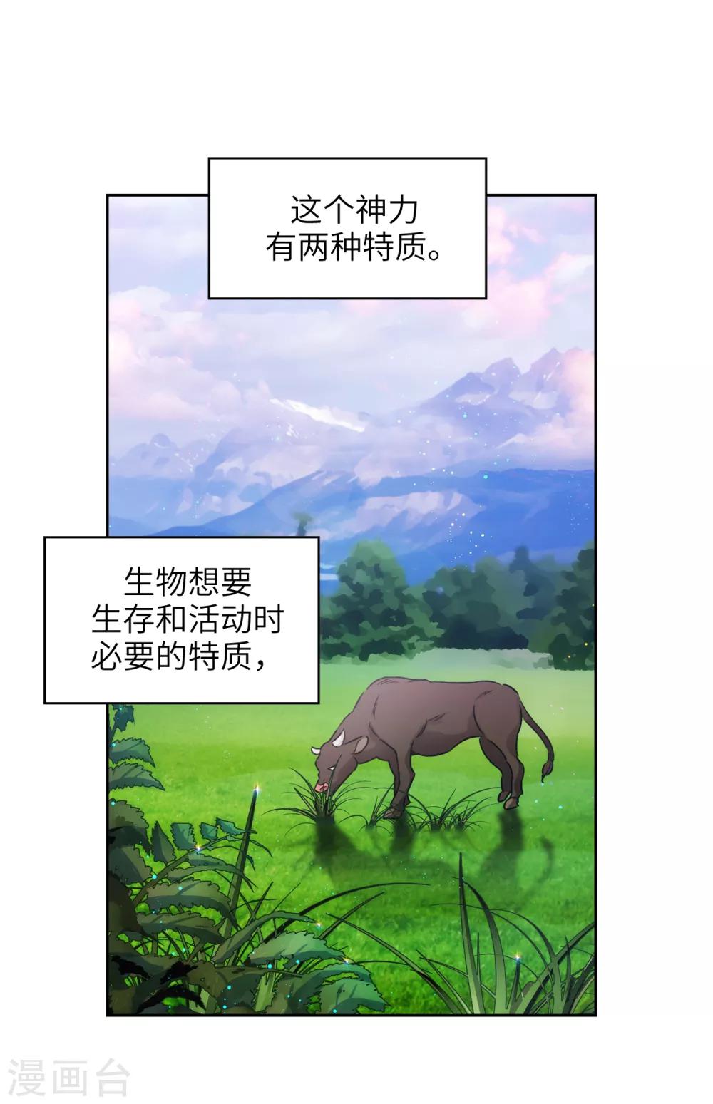 第246话 魔力的根源29