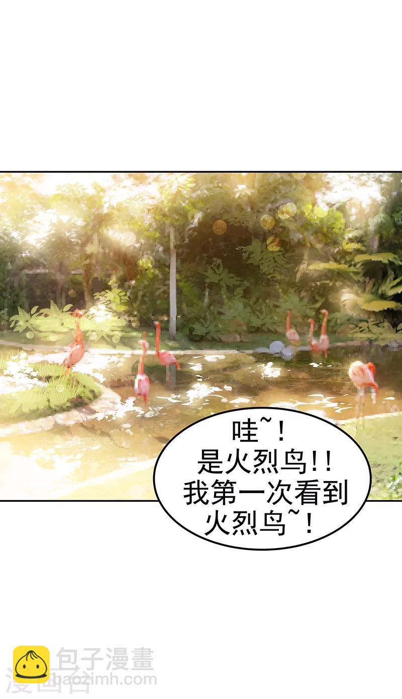 第146话 游逛动物园2