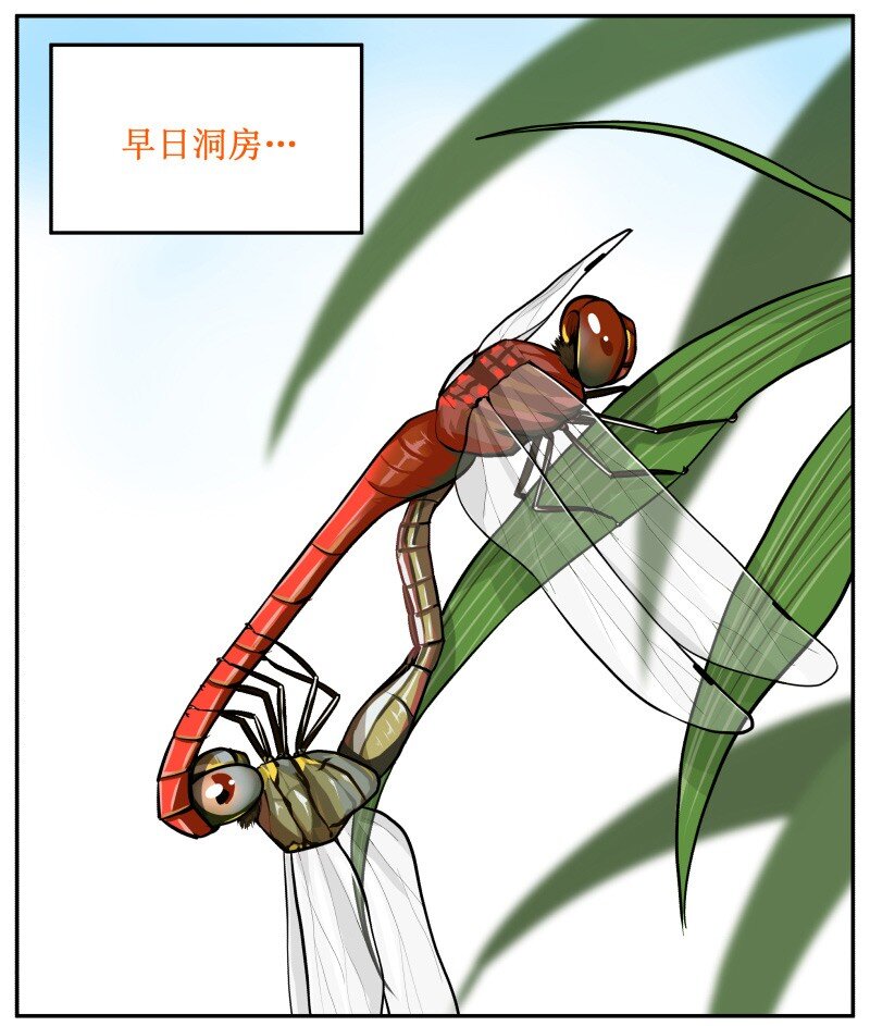 49 喝茶7