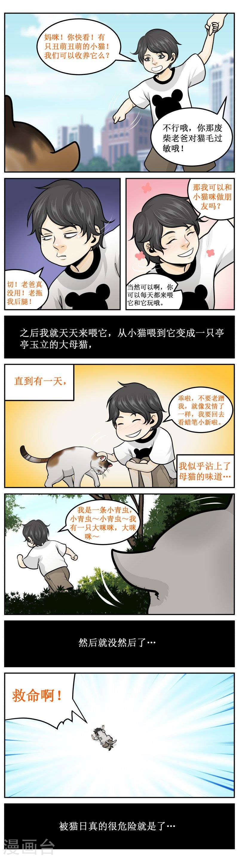 272-2 猫科动物4