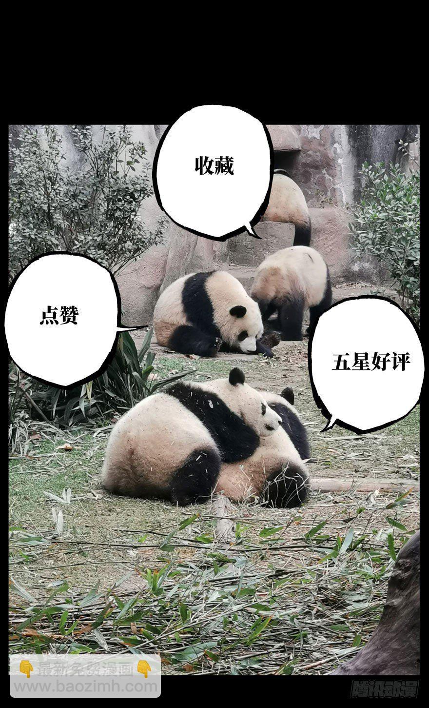 第二十五章/命数下31