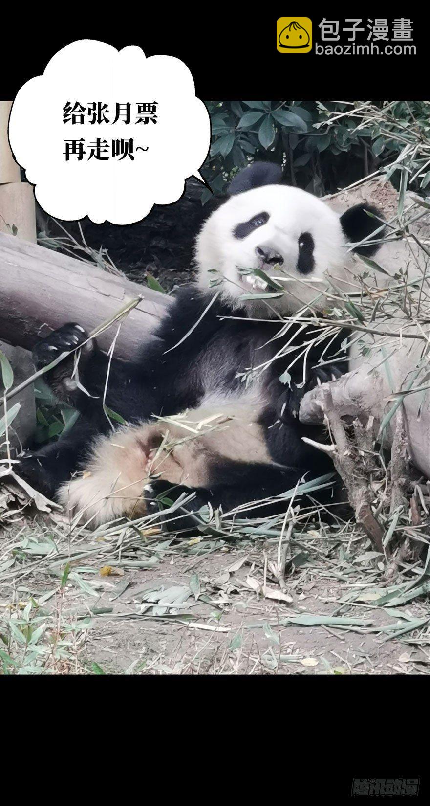 第二十五章/命数下33