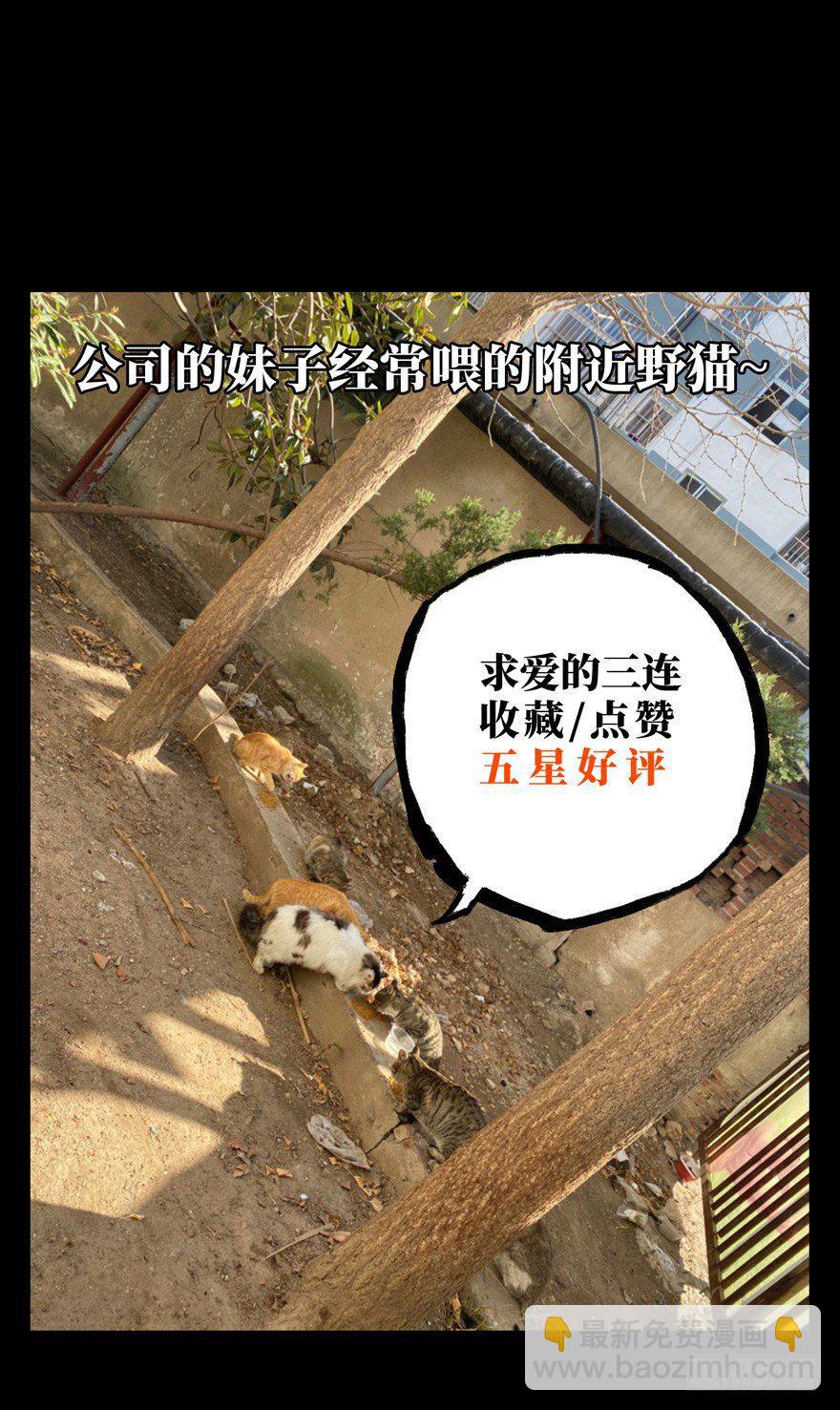 第四十一章/看门者上38