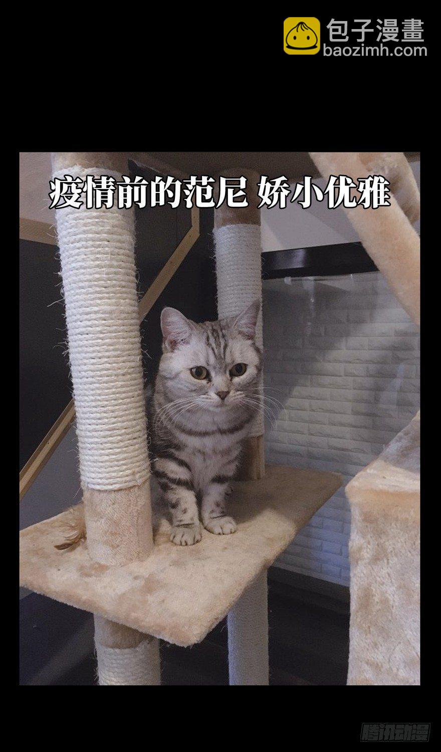 第四十六章/悲剧下43