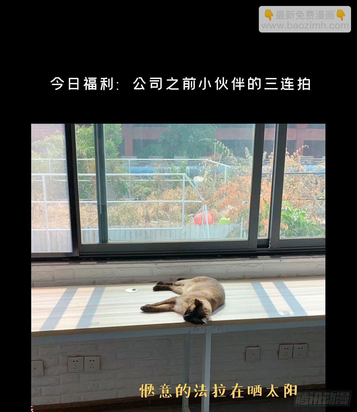 第五十五章/方仙术士下42