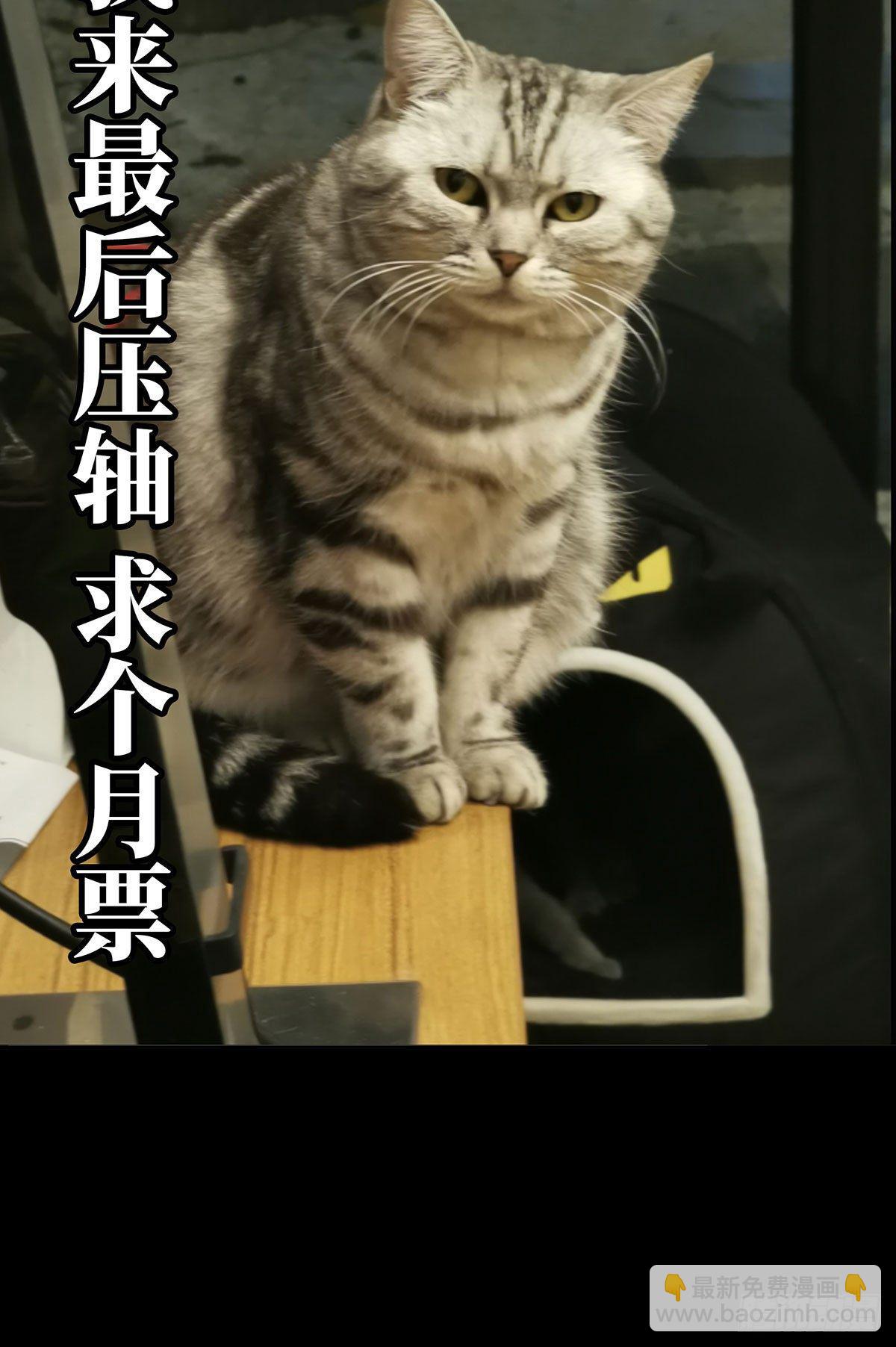第五十五章/方仙术士下45