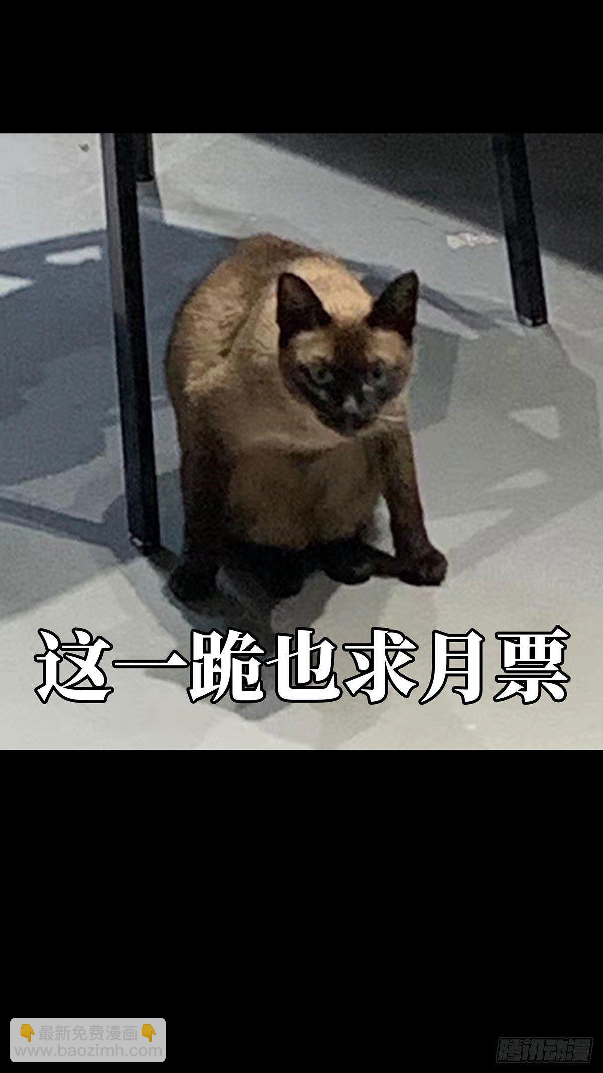 第五十六章/家上39