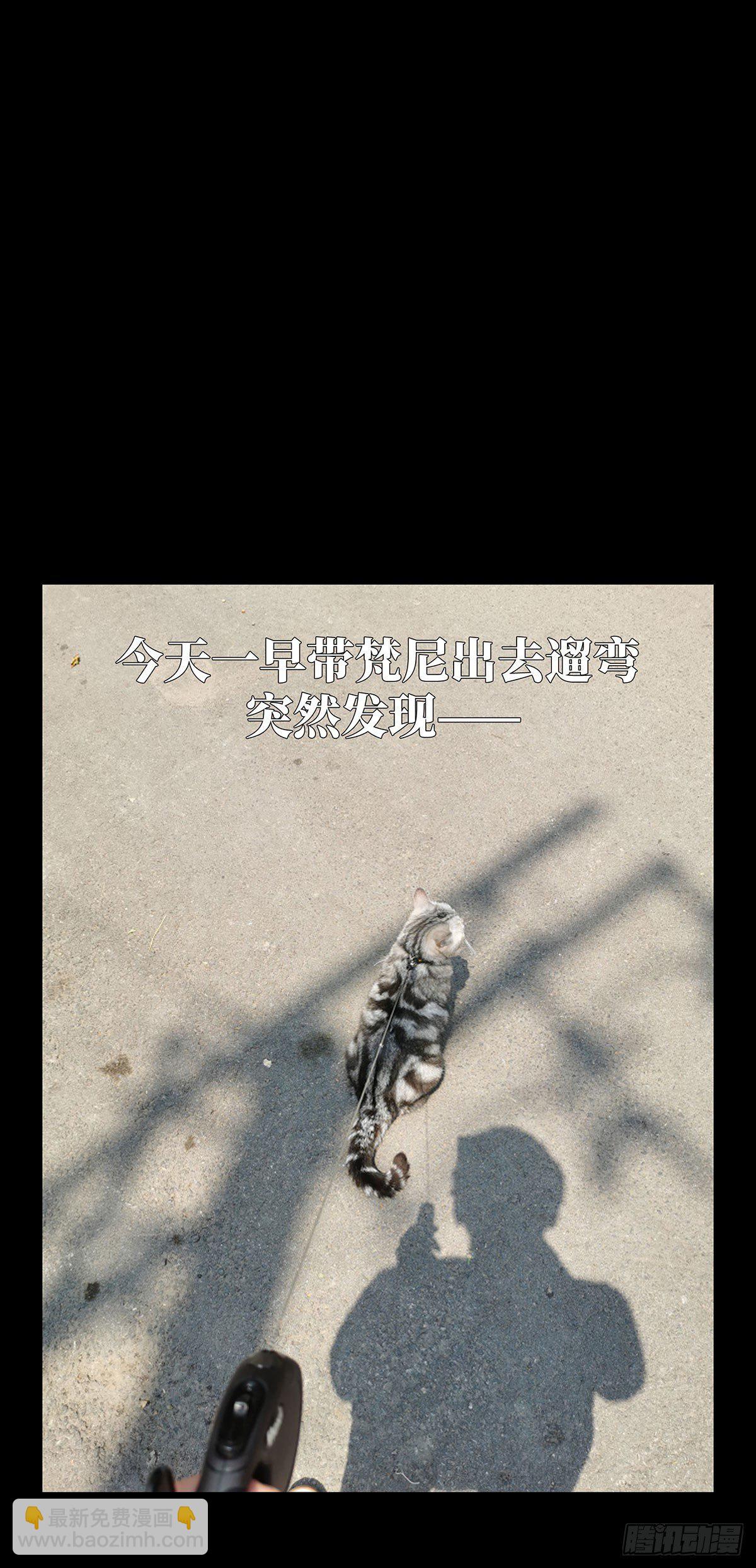 第六十二章/刀与盾上43