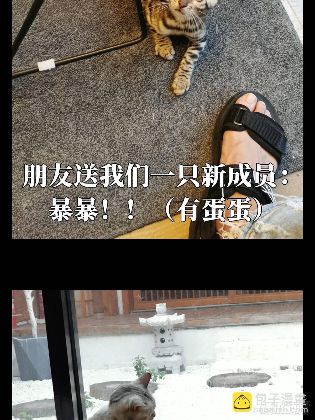 第六十七章/病态下43