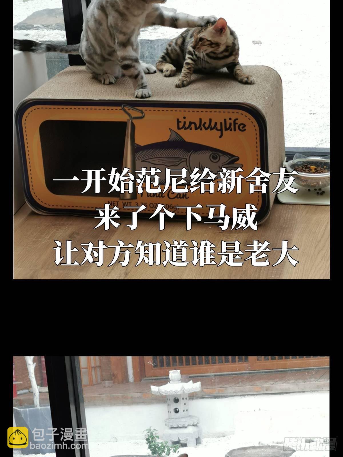 第六十七章/病态下44