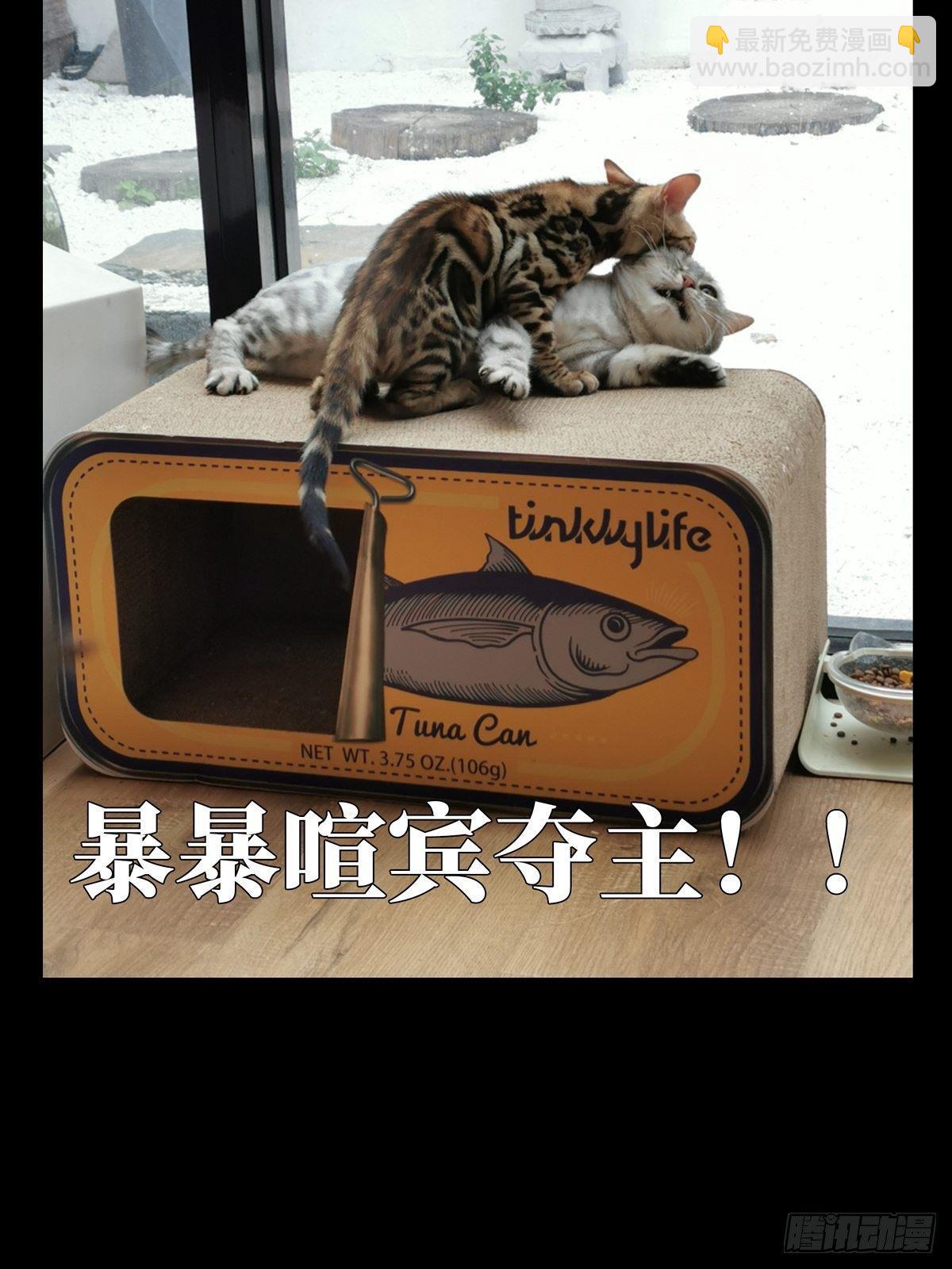 第六十七章/病态下46