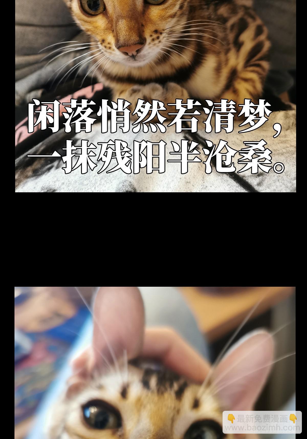 第七十章/至死不渝下37