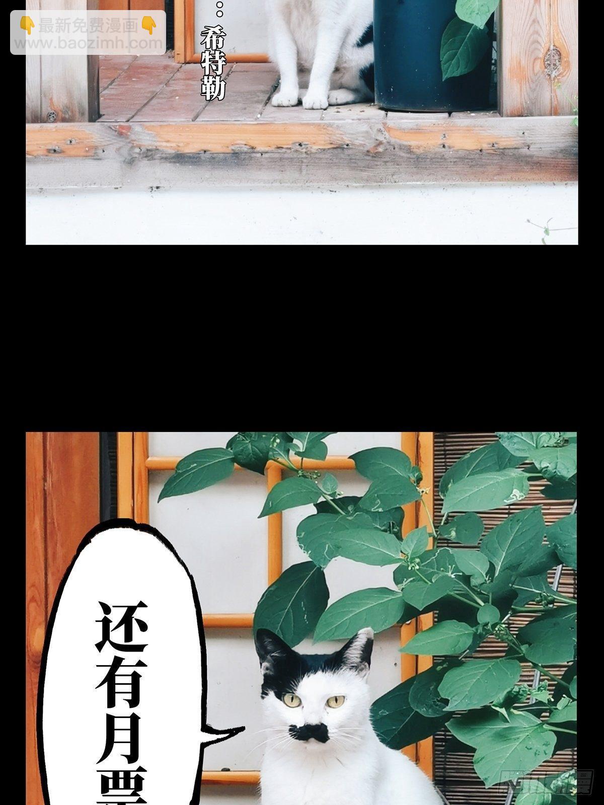 第七十三章/她下35